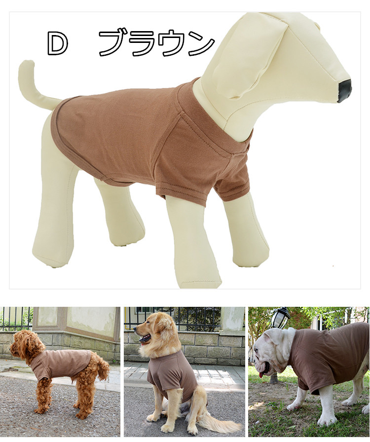 シンプル Tシャツ 無地 コットン デイリーTシャツ 綿100％ フレブル