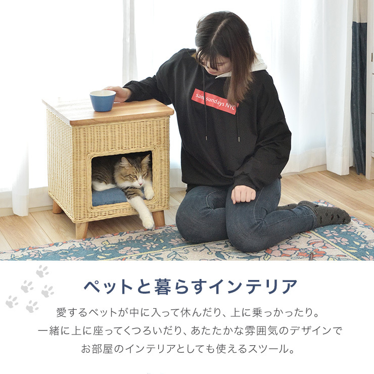 ペットハウススツール PET-63 インテリア クッション 収納 ラタン調