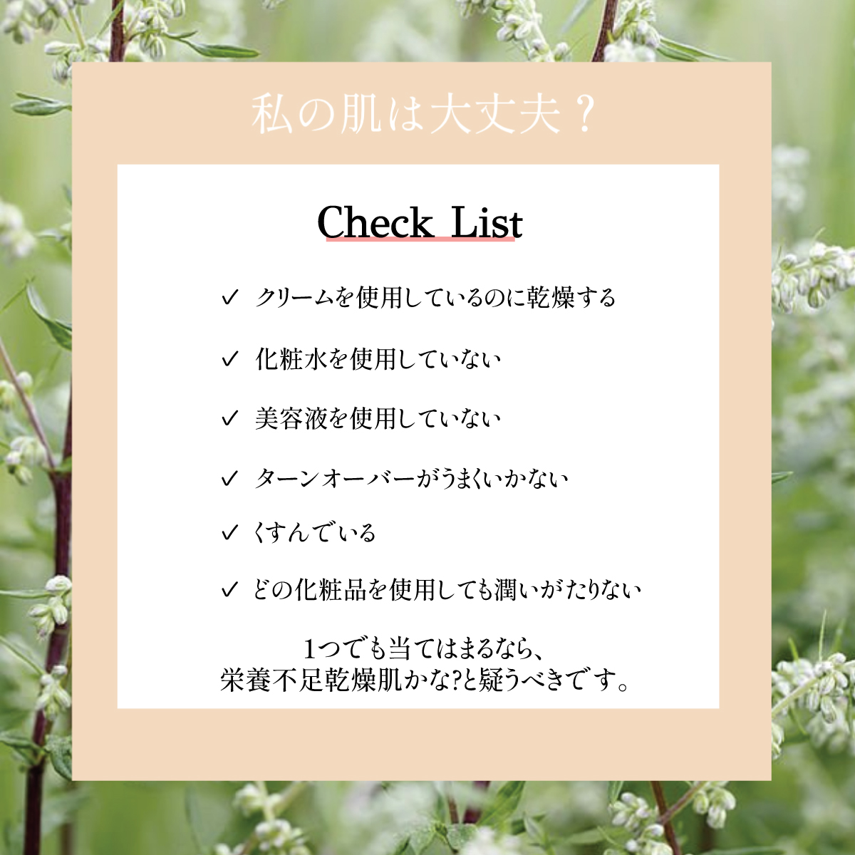 fresca（フレスカ） 【1個】栄養ぐんぐん入る生フェイスクリーム 超