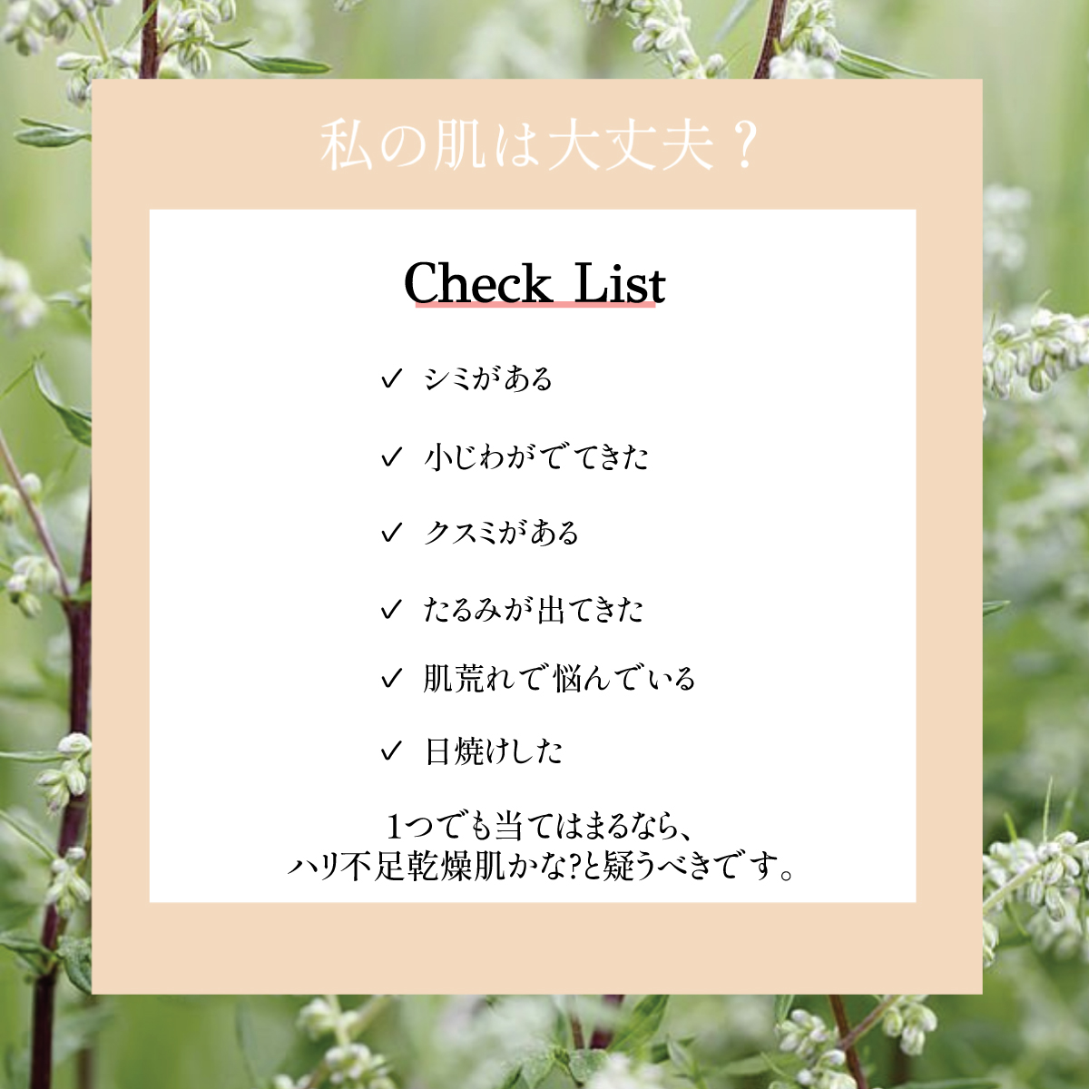 1枚】＼知らなきゃ損する感動ぷるぷる再生ジュレマスク／月1ケアで