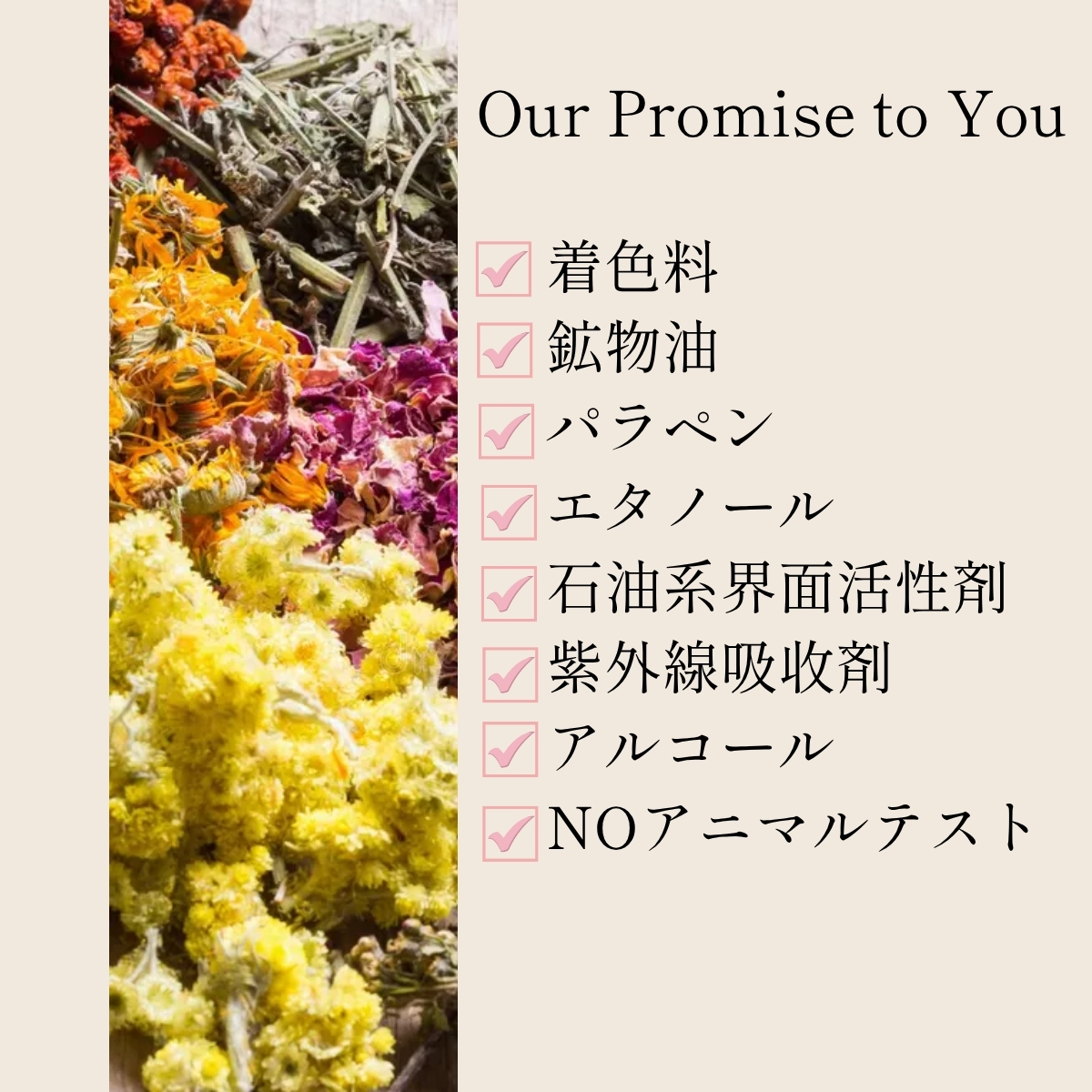 11ourPromise