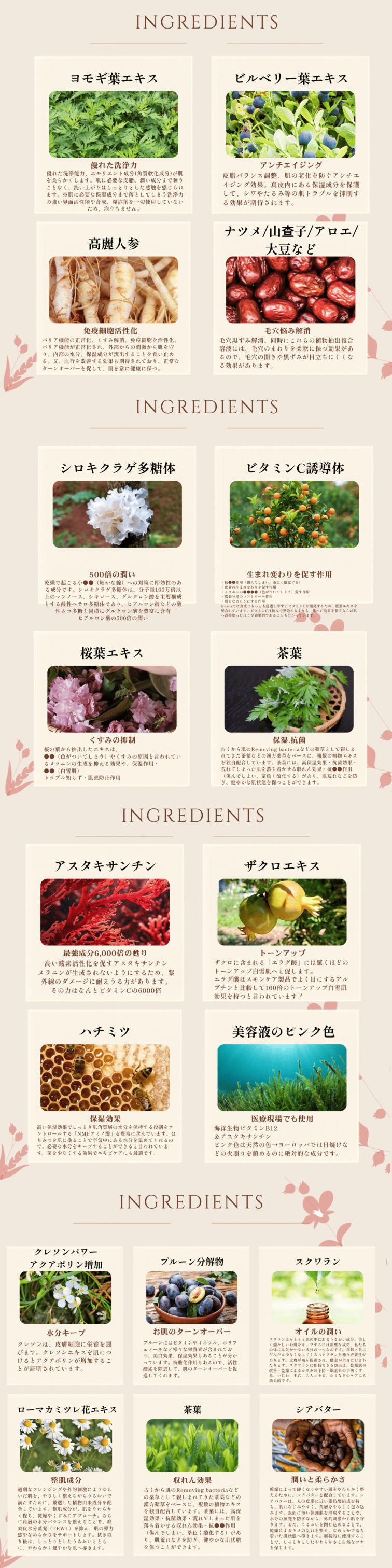 6Ingredients1