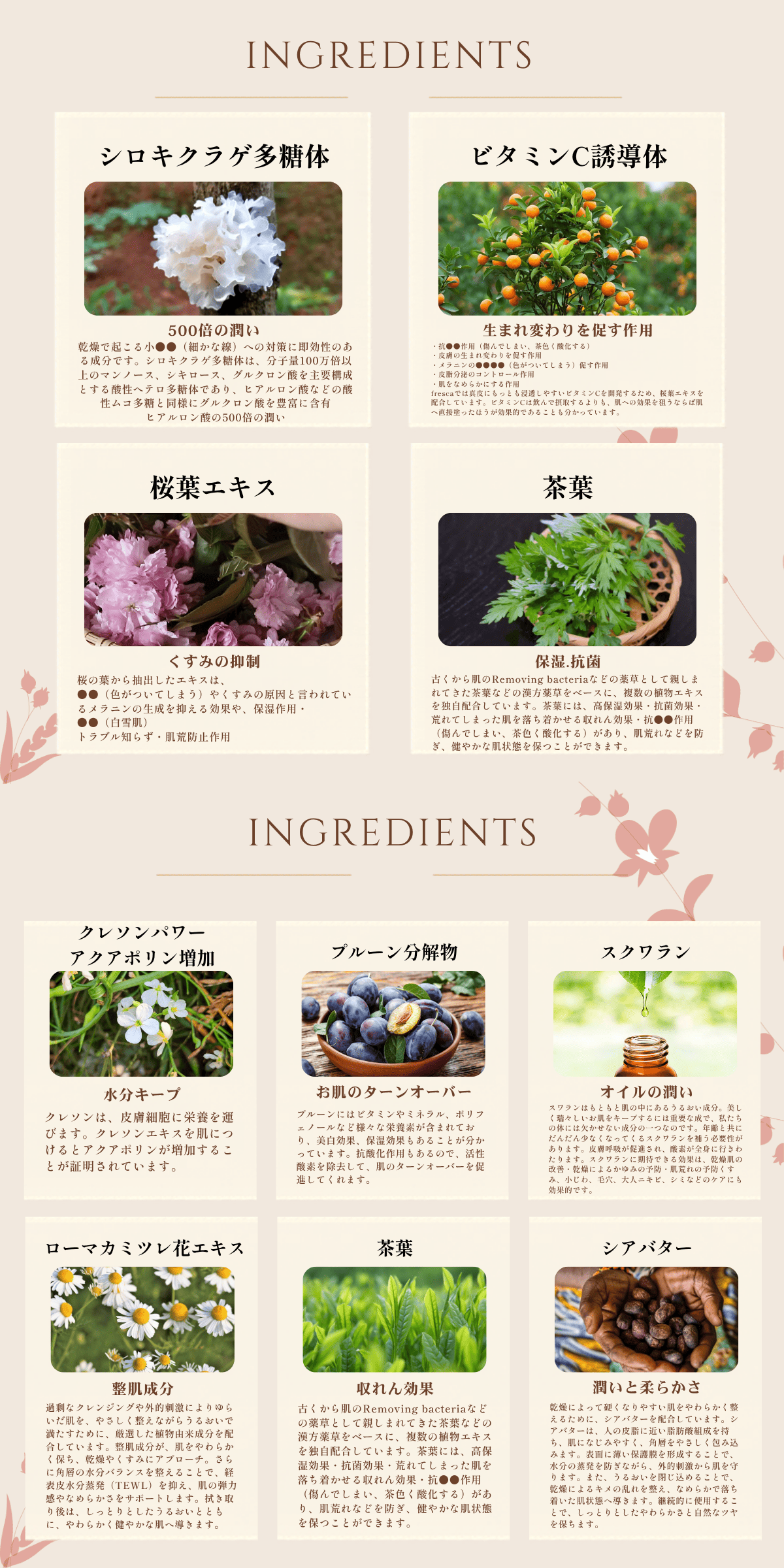 6Ingredients1