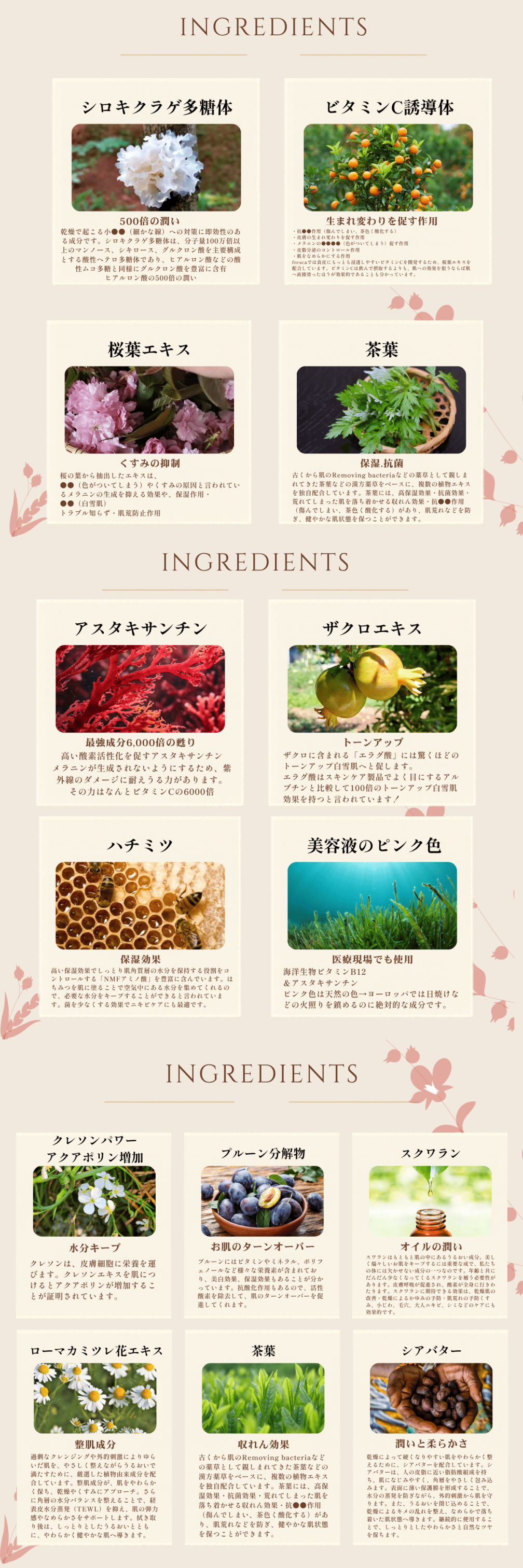 6Ingredients1