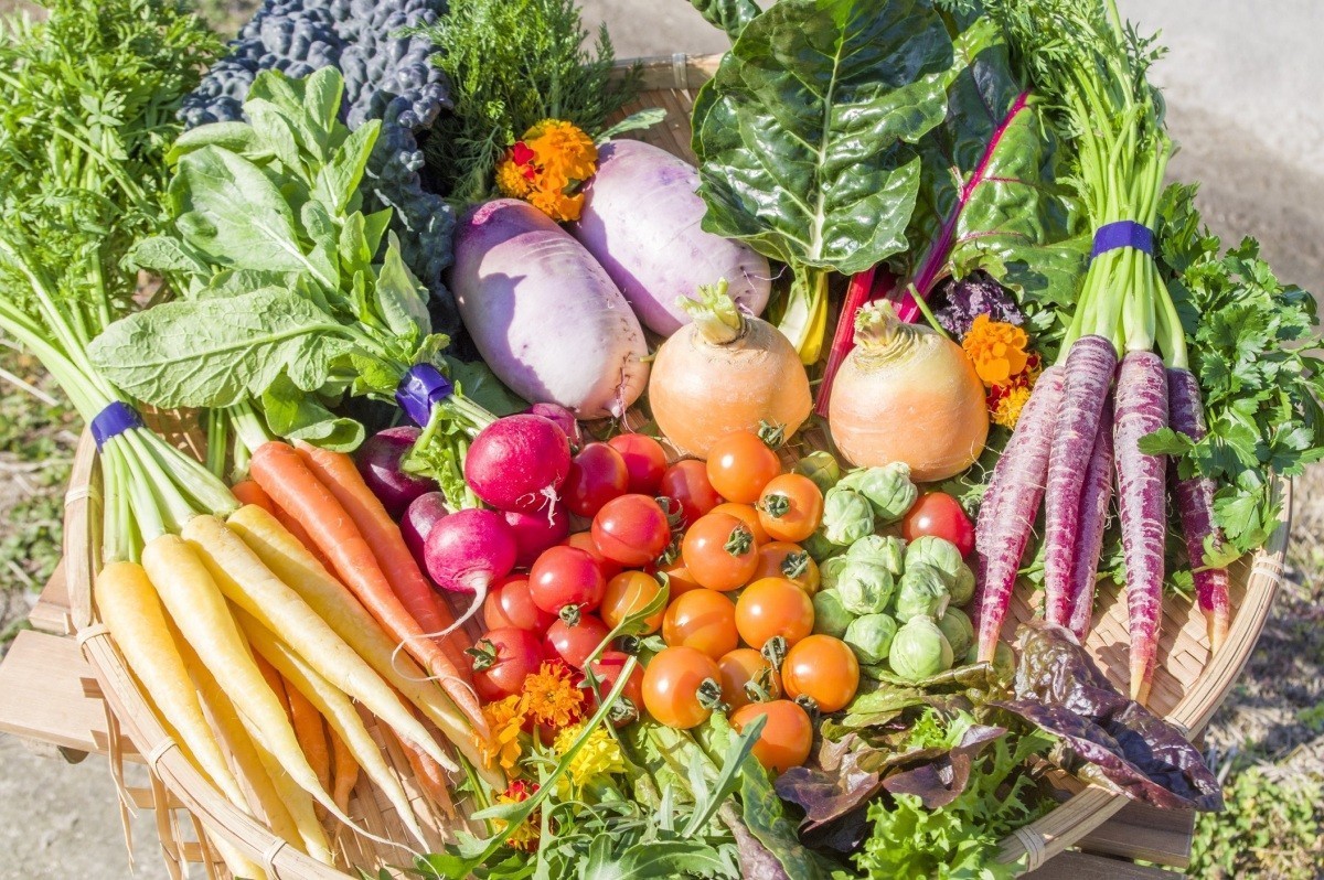 フレッシュグループ淡路島の厳選野菜セット