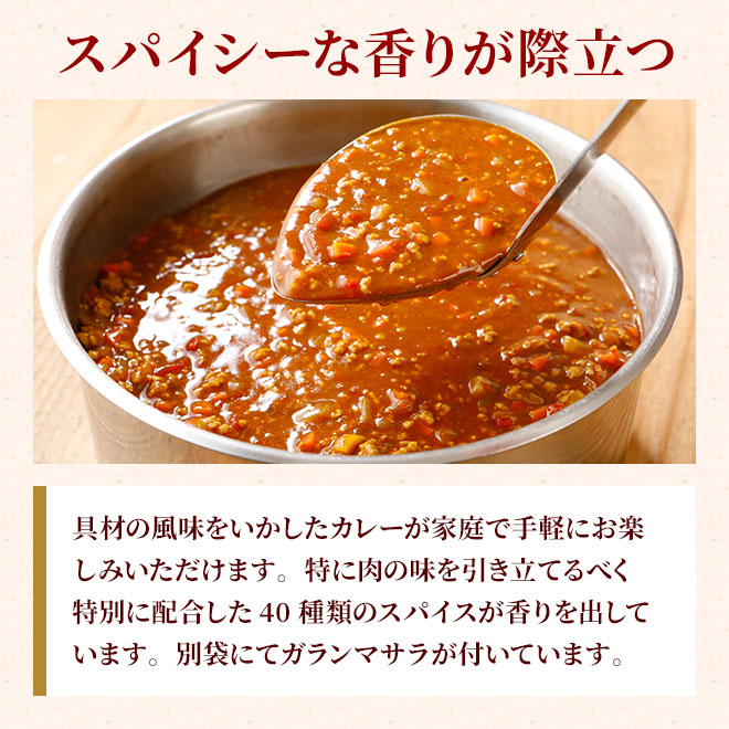 スパイシーカレー辛口