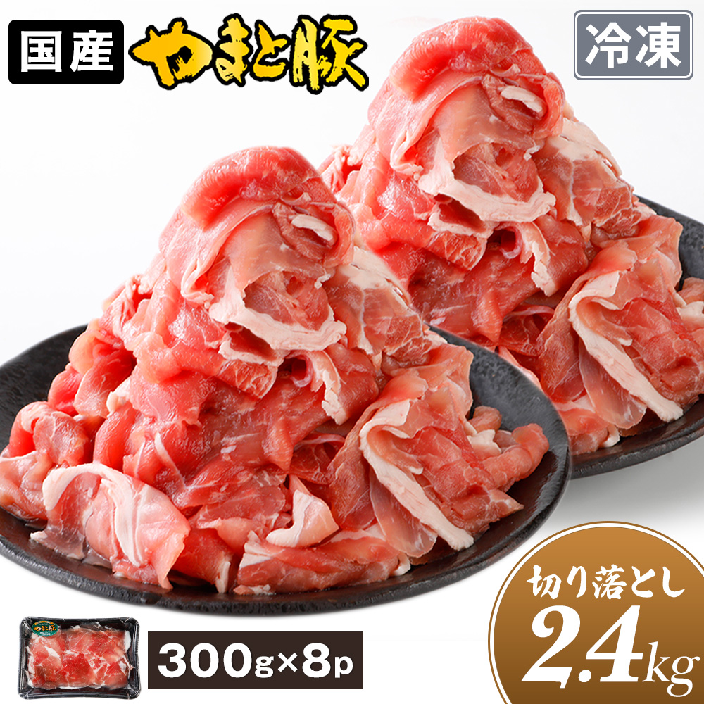 Y ܂Ɠ ؂藎Ƃ K 2.4Kg NS-DX | [Ⓚ] O 󂠂  ؓ ؂藎Ƃ ؂ A ⓀHi  ٓ hV̓ Ε 2025