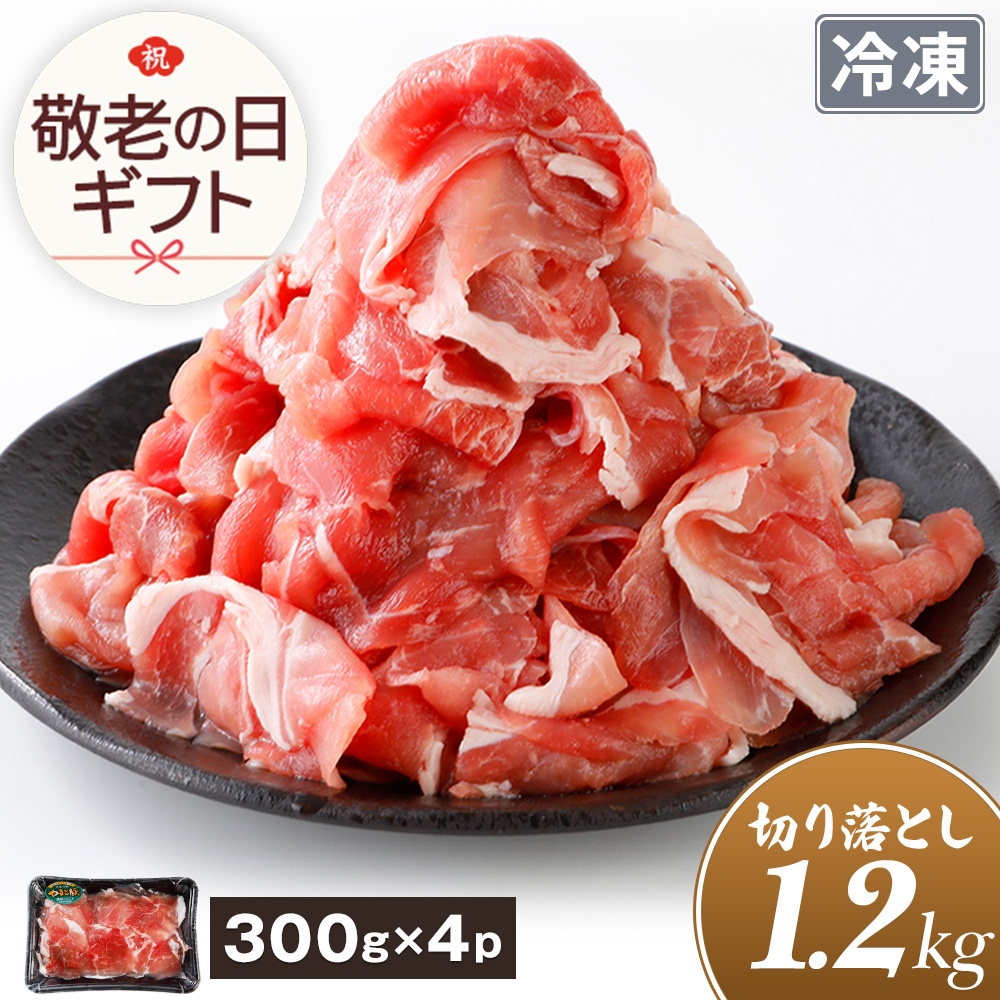 Y ܂Ɠ ؂藎Ƃ K 1.2Kg NS-DY ss | [Ⓚ] O 󂠂  ؓ ؂藎Ƃ ؂ A ⓀHi  ٓ hV̓ 2025
