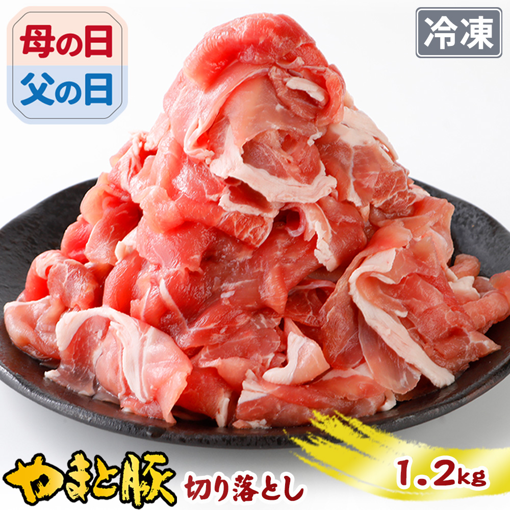 国産 やまと豚 切り落とし肉 メガ盛り 1.2Kg NS-DY ss | [冷凍] グルメ 訳あり 肉 豚肉 切り落とし 豚こま 訳アリ