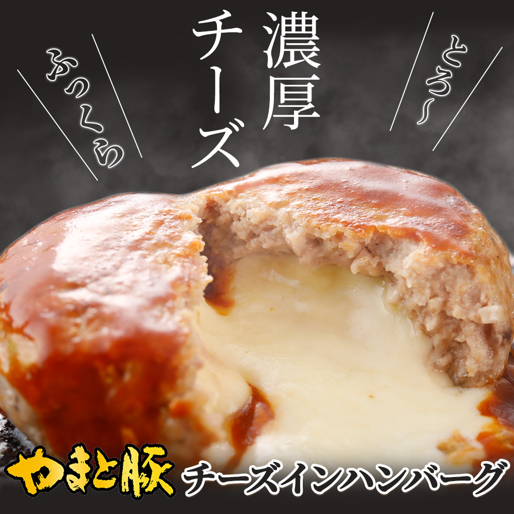 チーズインポークハンバーグ