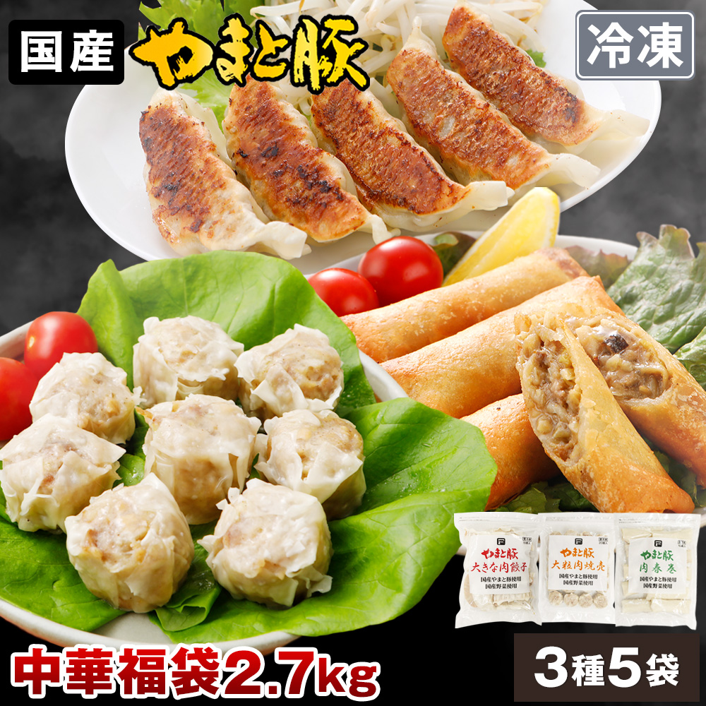 Yahoo! Yahoo!ショッピング(ヤフー ショッピング)やまと豚 中華 福袋 2.7kg NS-BD | [冷凍] 送料無料 食品福袋 父の日 早割 プレゼント 内祝い メガ盛り ギフト 餃子 冷凍餃子 取り寄せ お取り寄せグルメ