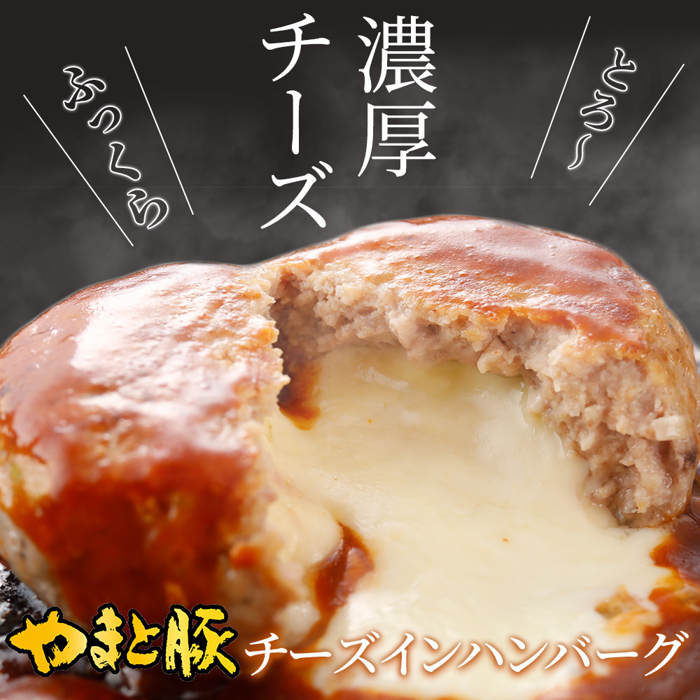 チーズインポークハンバーグ