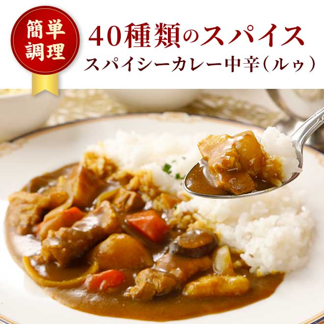 スパイシーカレー中辛