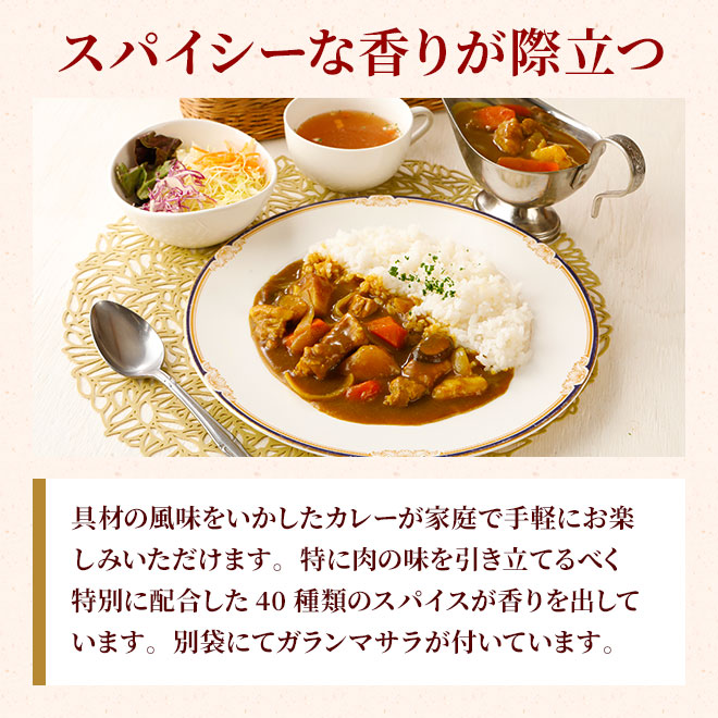 スパイシーカレー中辛