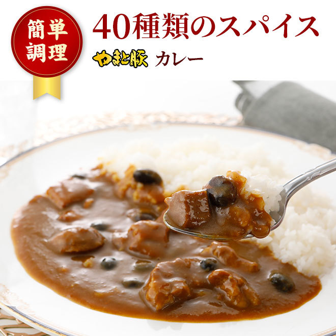 銀座やまとの やまと豚 カレー 220g | [常温] レトルトカレー レトルト