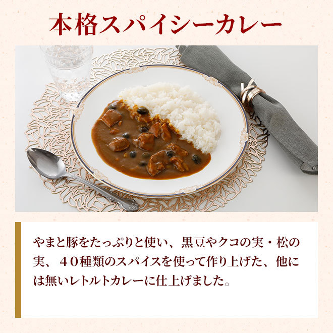 やまと豚カレー