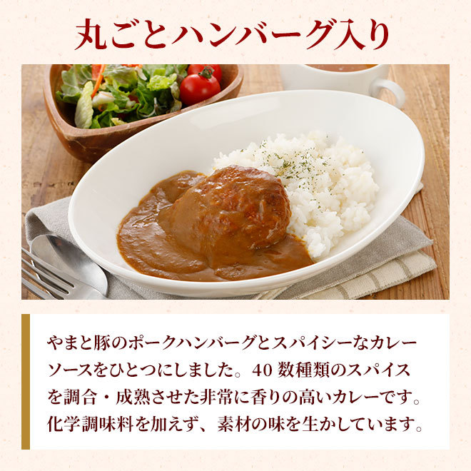 やまと豚カレー