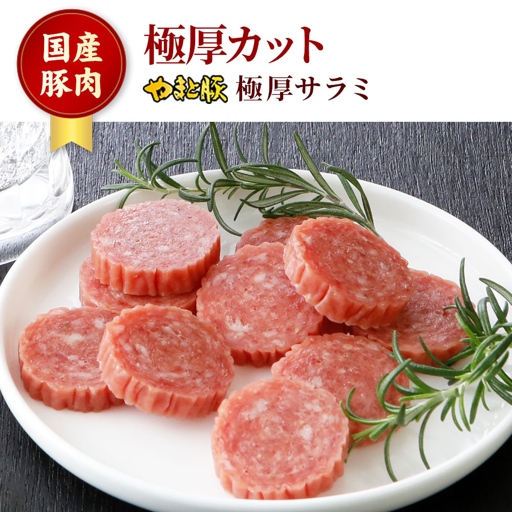 極厚サラミ