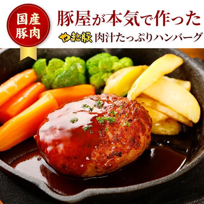 肉汁 たっぷり ハンバーグ デミグラス 155g | [冷蔵]  デミソース ギフト 湯煎 高級 惣菜 レンジ 温めるだけ 湯せん お取り寄せ ポークハンバーグ 電子レンジ｜frieden-shop｜02