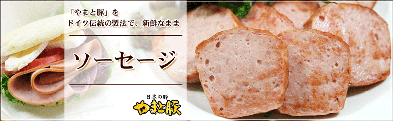 注目の やまと豚 フライシュケーゼ 200g 冷蔵 ソーセージ ボロニアソーセージ 肉 お肉 ギフト お取り寄せグルメ おつまみ 食べ物 食品  取り寄せ グルメ お歳暮