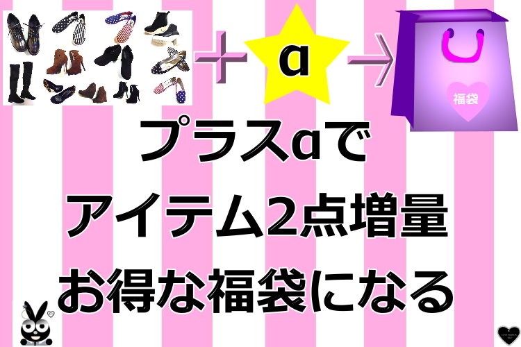 プラス500円でアイテム増量の福袋になる