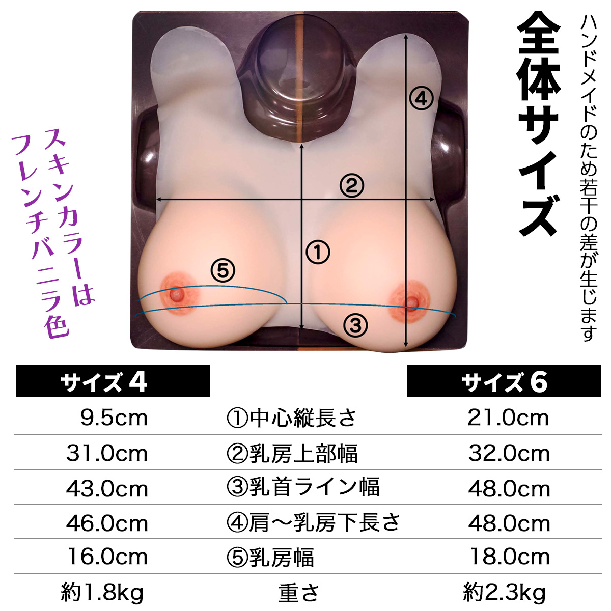 アテナ寸法サイズ