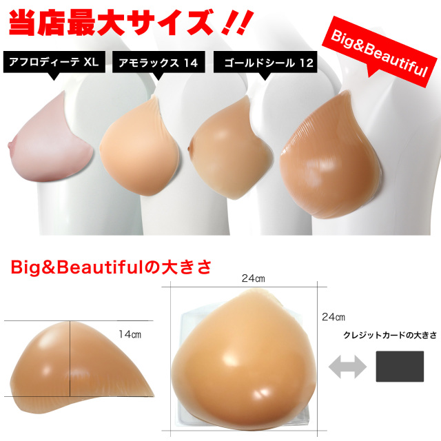 B&B追加
