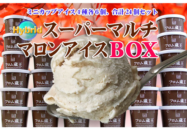 大きな割引 アイス フロム蔵王HybridスーパーマルチアイスBOX24 アイスクリームセット 送料無料