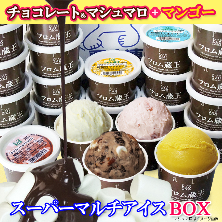 フロム蔵王 6種類24個入り 送料無料 Hybrid NEOマルチアイスBOX24