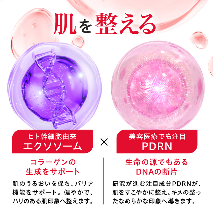 フロムココロ - 商品一覧（おすすめ順） - 売れ筋通販 - Yahoo