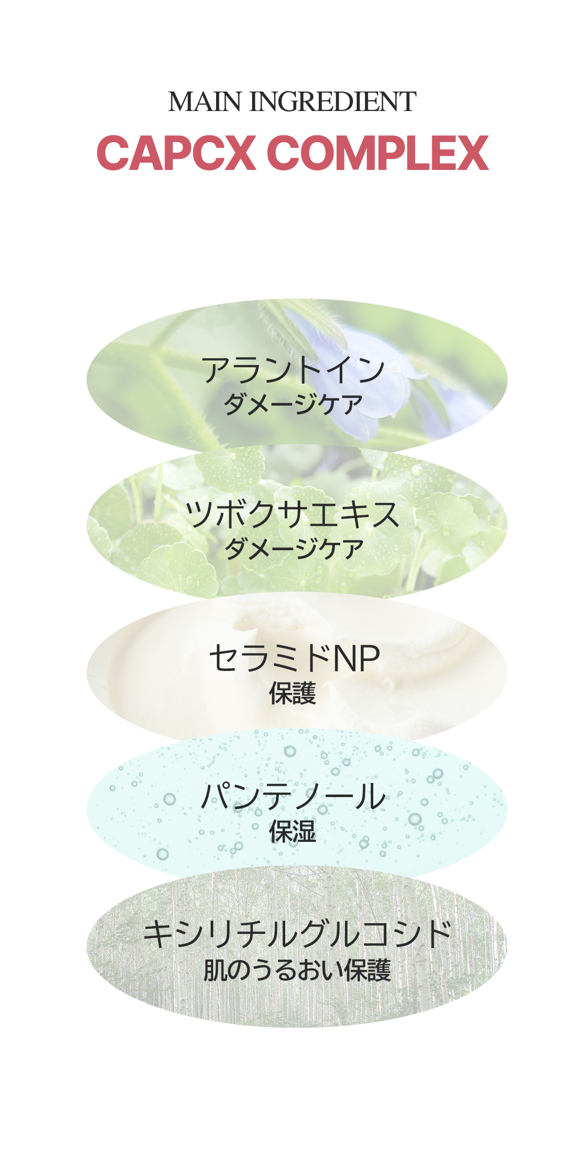 フロムネイチャー 【フロムネイチャー公式】＼リニューアル再販