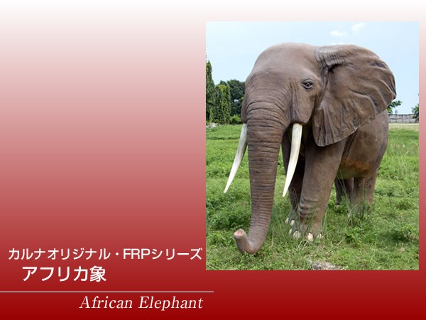アフリカ象 FRPアニマルオブジェ : 日本最大級のFRP造形物 アフリカ象 FRPアニマルオブジェ : 日本最大級のFRP造形物