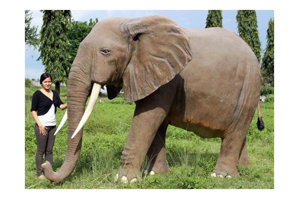 アフリカ象 FRPアニマルオブジェ : 日本最大級のFRP造形物オブジェ専門