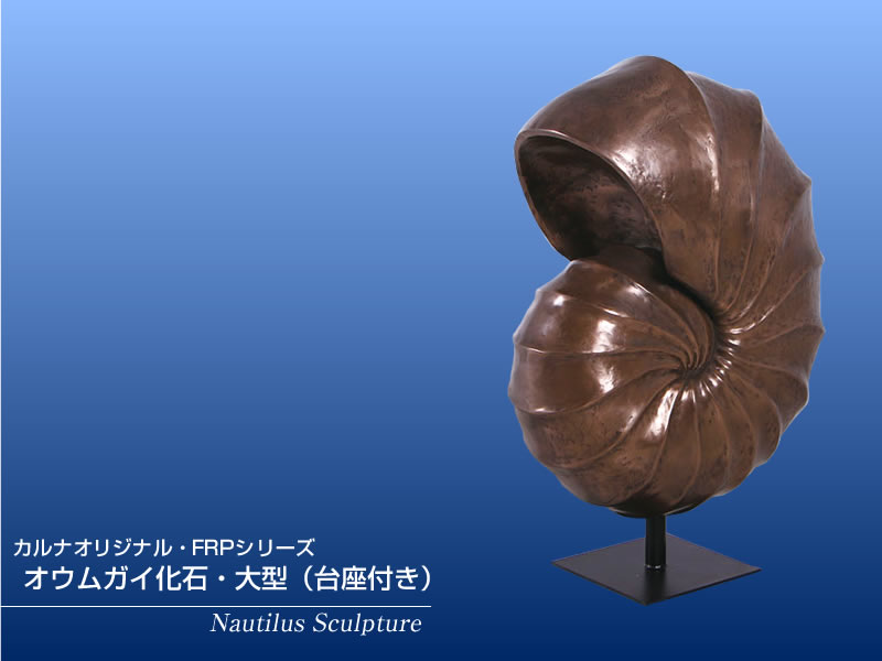 オウムガイ化石・大型（台座付き） FRPオブジェ : 日本最大級のFRP造形