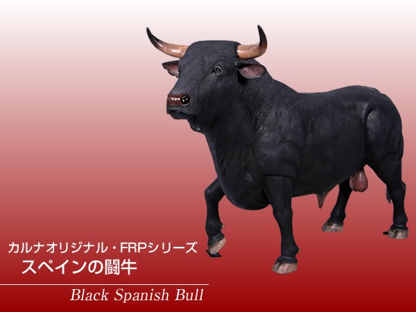 fr150232_1.jpg