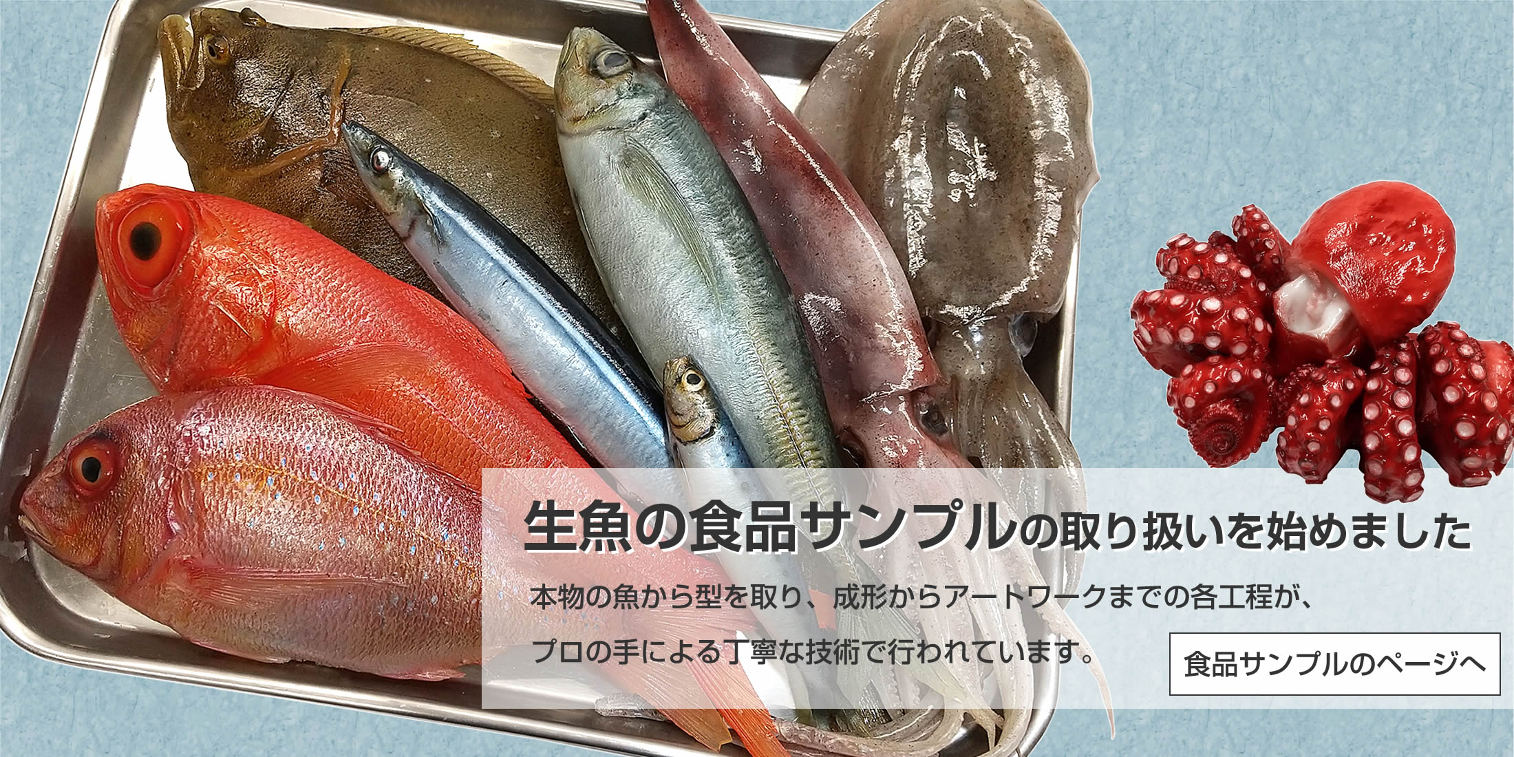 たこ タコ 蛸 実物大の生魚 （ゆで・ボイル） 食品サンプル 日本製