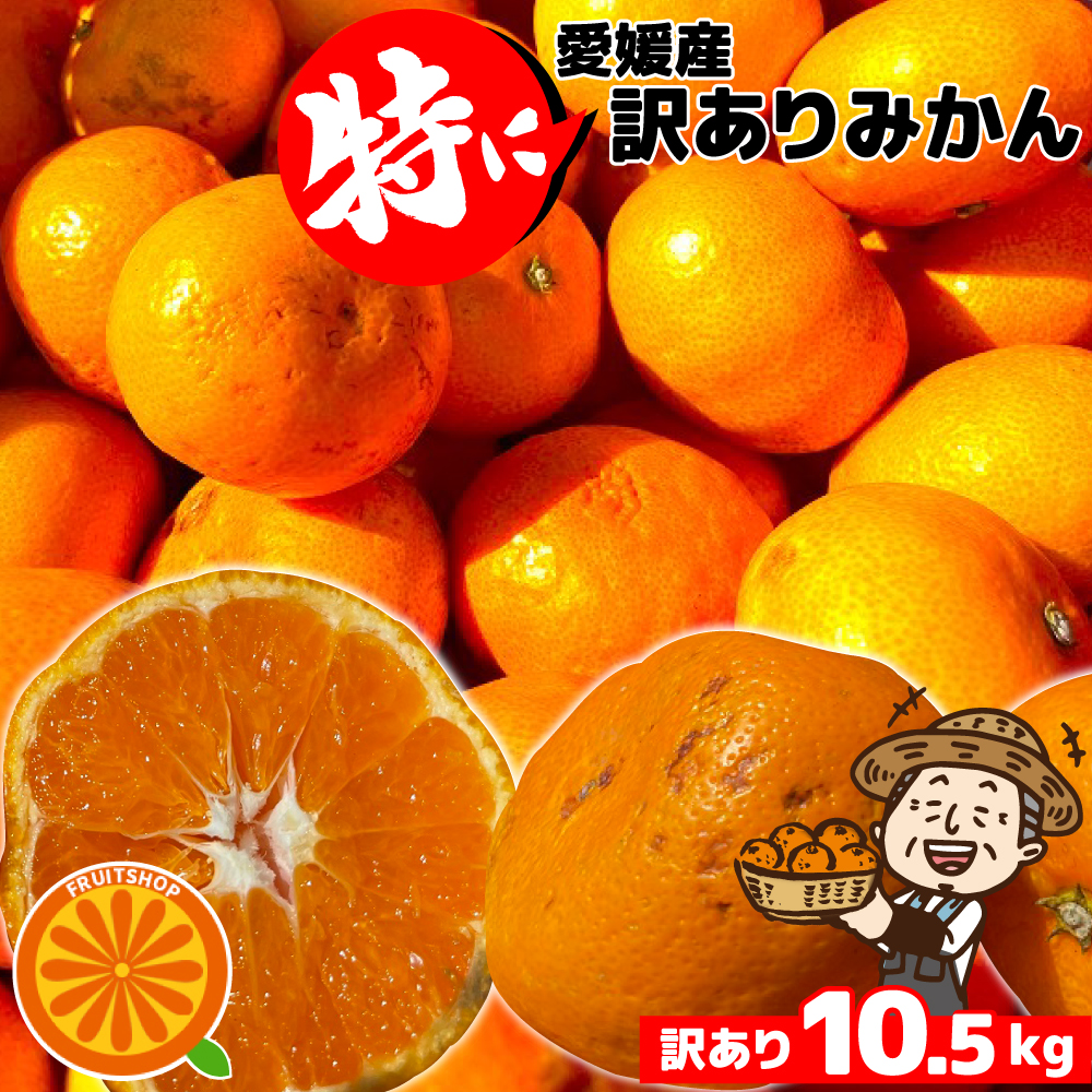 只今出荷中♪特に訳ありみかん10kg(+約0.5kg)【送料無料】発送時期で