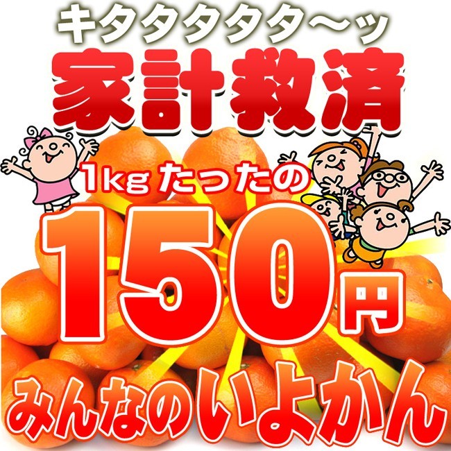 家計救済みんなの150円いよかん（訳あり・不選別・不揃い）1kg150円