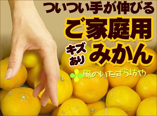 5kg×2で10kg 風のいたずら坊や 《温州みかん》傷あり・不ぞろい【送料