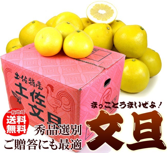 土佐文旦 秀品10kg2L 送料無料 20〜22玉 : フルーツショップ
