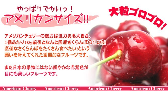 パリッと大粒！アメリカンチェリー1kg 送料無料 フルーツ 果物