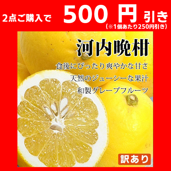 『訳あり河内晩柑 10kg』 2セット以上ご購入で【 500円OFF 】 クーポン♪