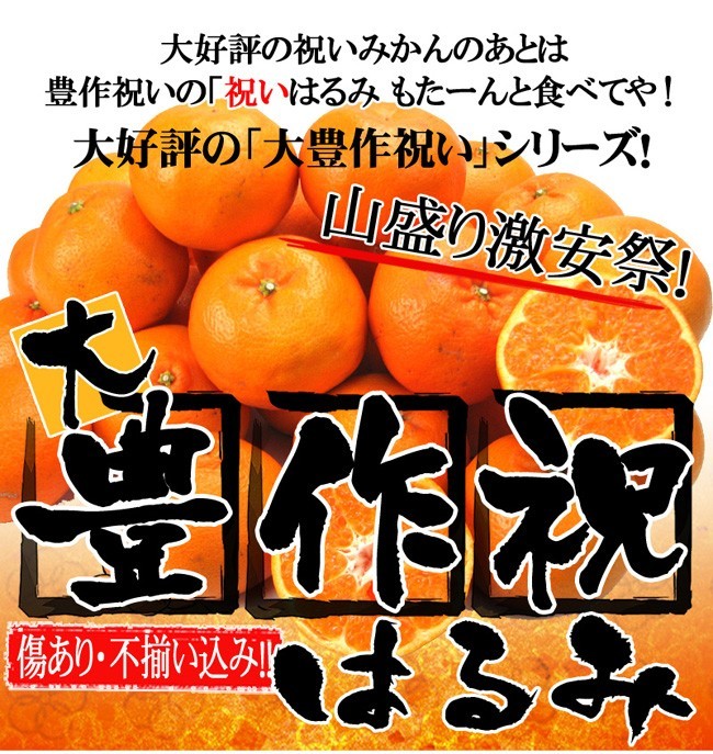 大豊作祝いはるみ 5kg 送料無料 不ぞろい 訳あり【2月中旬発送予定