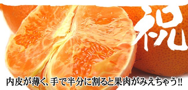 287愛媛県産 せとか 訳あり 10kg せとか 訳あり10kg 愛媛県産：愛媛県産のみかん・柑橘類｜食べ