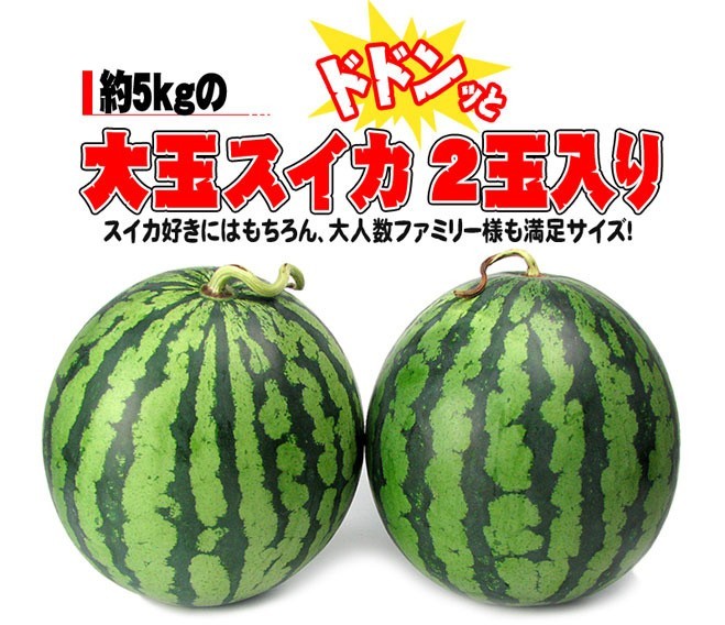 愛媛産 夏だ！甘玉すいか2玉入り【送料無料】【訳あり不揃い】の説明