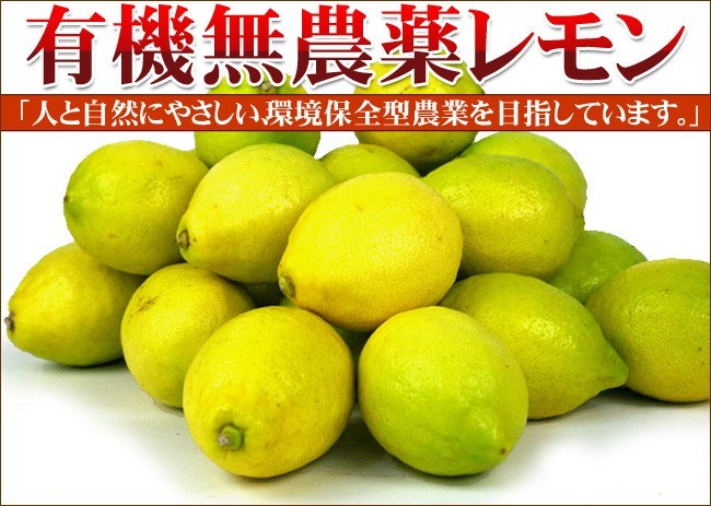 ✩しぐりー様✩専用 愛媛県産✩農薬不使用 レモン✩20キロ 愛媛産 中島無農薬有機栽培レモン2kg【送料無料】傷あり・不揃い