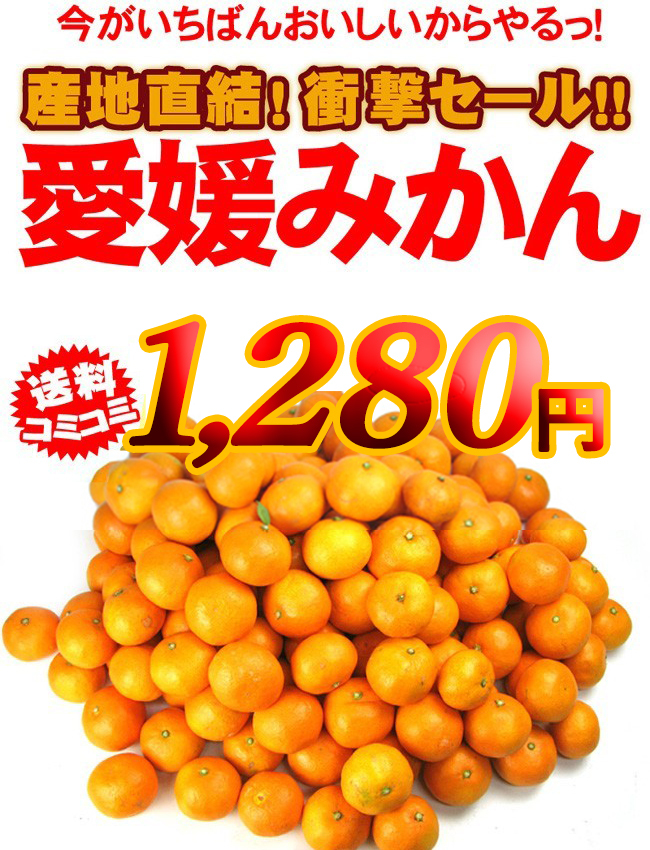 ☆愛媛産訳ありみかん3kg×1箱 送料無料 買えば買うほど得になる！！30%OFFクーポンとおまけ付♪ フルーツ 果物 旬 くだもの 食品 おやつ ミカン  蜜柑 柑橘類 :oswase-3kg:フルーツショップサニー - 通販 - Yahoo!ショッピング