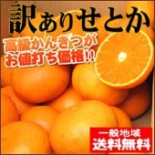 setoka_wake170.jpg