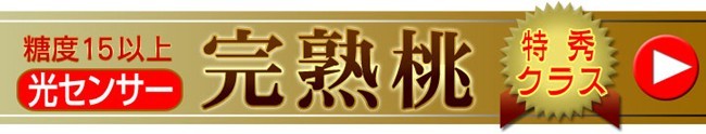 プレミアムクラスはコチラ