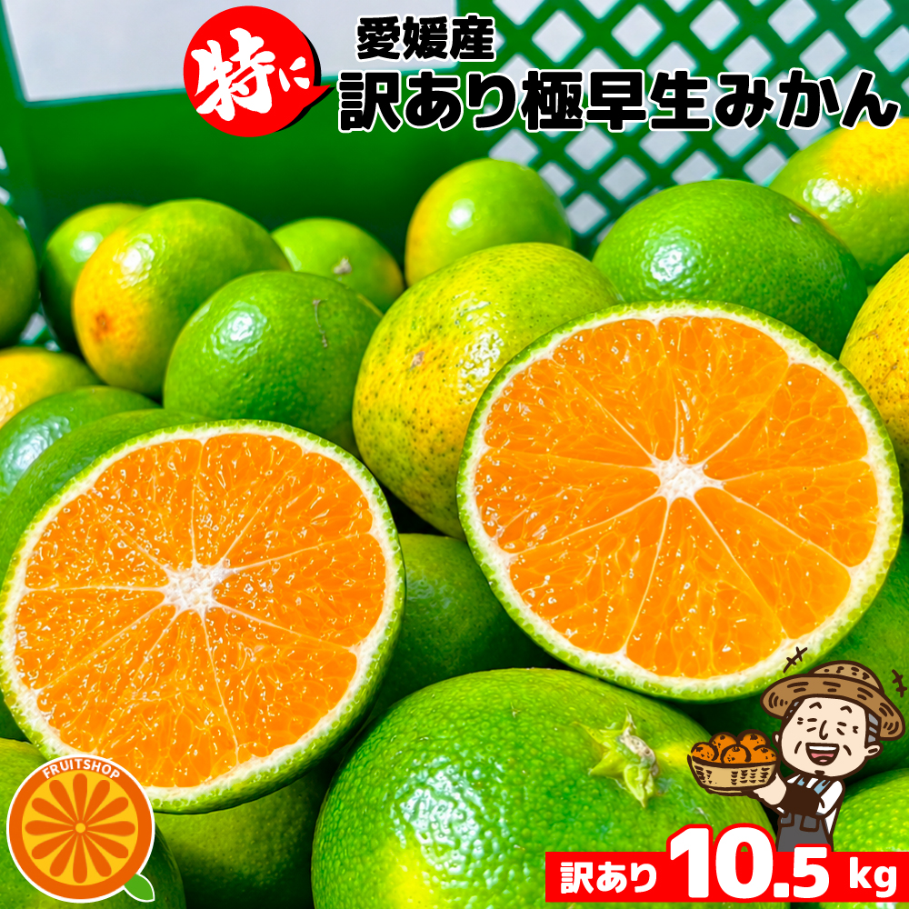みかん、柑橘類｜フルーツ｜食品 おすすめ人気商品 通販 - Yahoo